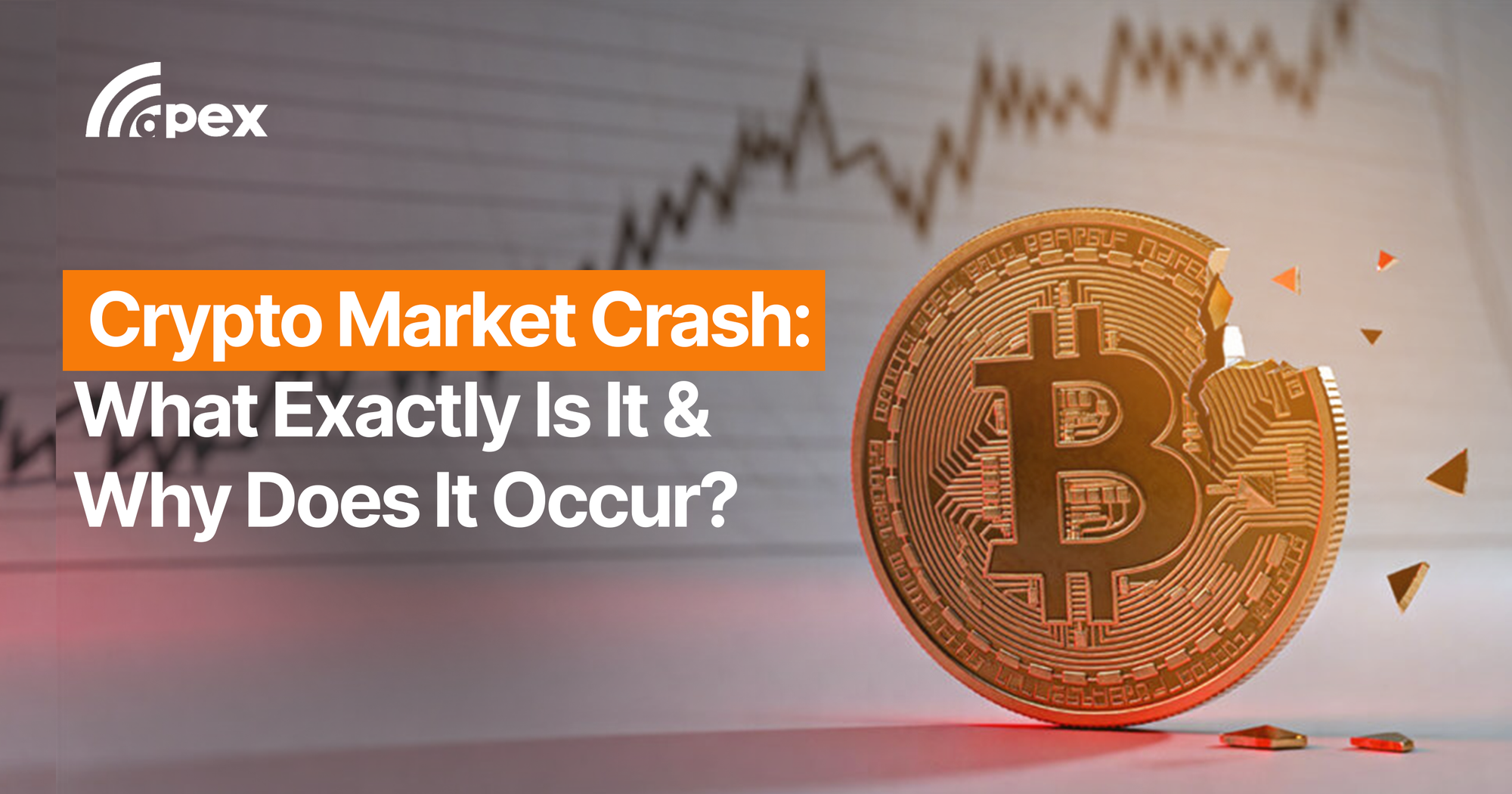 Crypto Market Crash: What Exactly Is It & Why Does It Occur?