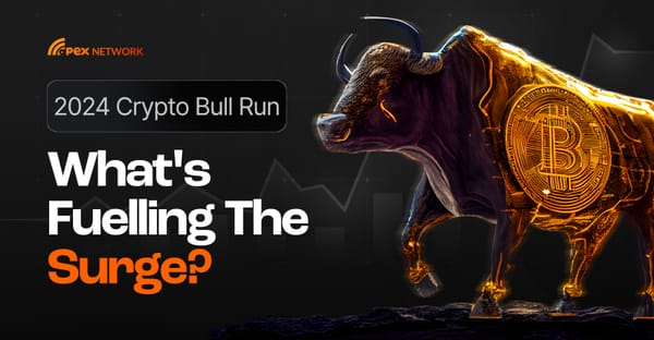 2024 Crypto Bull Run - What's Fuelling The Surge?